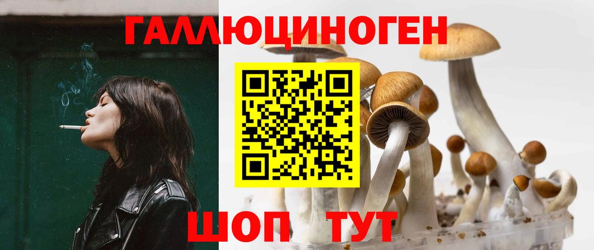 Псилоцибиновые грибы ЛСД  Вход с VPN  Кашира 